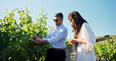Buy stock photo Love, vineyard and walking with couple outdoor together for bonding, experience or relationship. Agriculture, date and romance with people on wine farm for ecology, organic growth or sustainability
