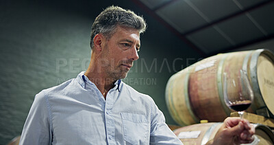 Buy stock photo Mature man, glass and red wine in cellar for inspection, quality control and production. Male person, alcohol and sensory ritual for aroma, balance flavour and evaluation process to prepare palate