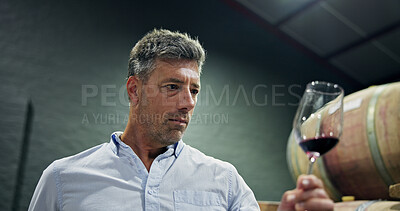 Buy stock photo Man, glass and red wine inspection in cellar for enology, quality control and production. Mature person, alcohol and sensory ritual for aroma, balance flavour and evaluation process to prepare palate