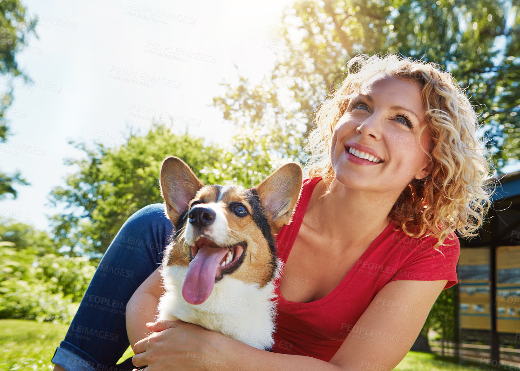 Buy stock photo Woman, smile and hug in park with dog, thinking or companion for bonding together on summer holiday. Bokeh, person outdoor and embrace with Corgi puppy, reflection or loyal friendship for protection.