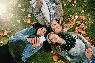Buy stock photo Group, selfie and teens on grass, fall and friends with memory for season, photography and together. Outdoor, autumn and girls with smile on break, above and profile picture on social media or flare