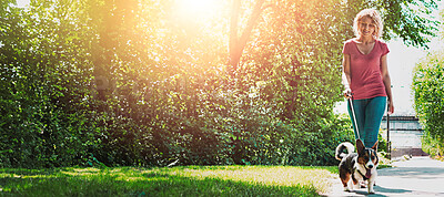 Buy stock photo Woman, walking dog and leash at park with happy, flare and bonding in summer, outdoor and exercise in nature. Person, pet owner and smile with animal, corgi or loyalty in relationship with wellness