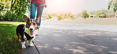 Buy stock photo Person, dog and walk in road with loyalty, protection and bonding together for exercise on weekend. Banner, pet owner and Corgi puppy outdoor for neighborhood stroll, fitness and wellness with space.