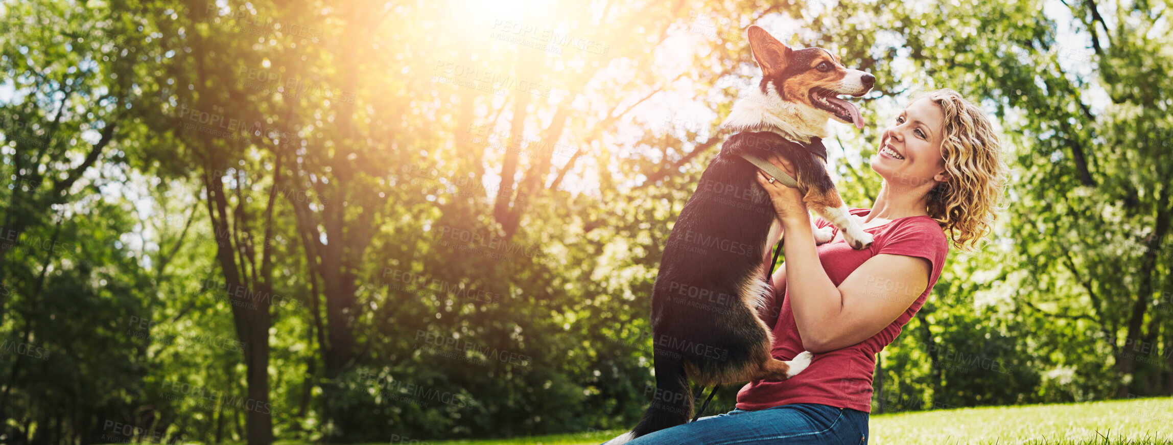Buy stock photo Smile, playing and woman with dog in nature for bonding, connection or adoption together. Banner, love and female person with corgi puppy, animal or pet for fun and companionship outdoor in park.
