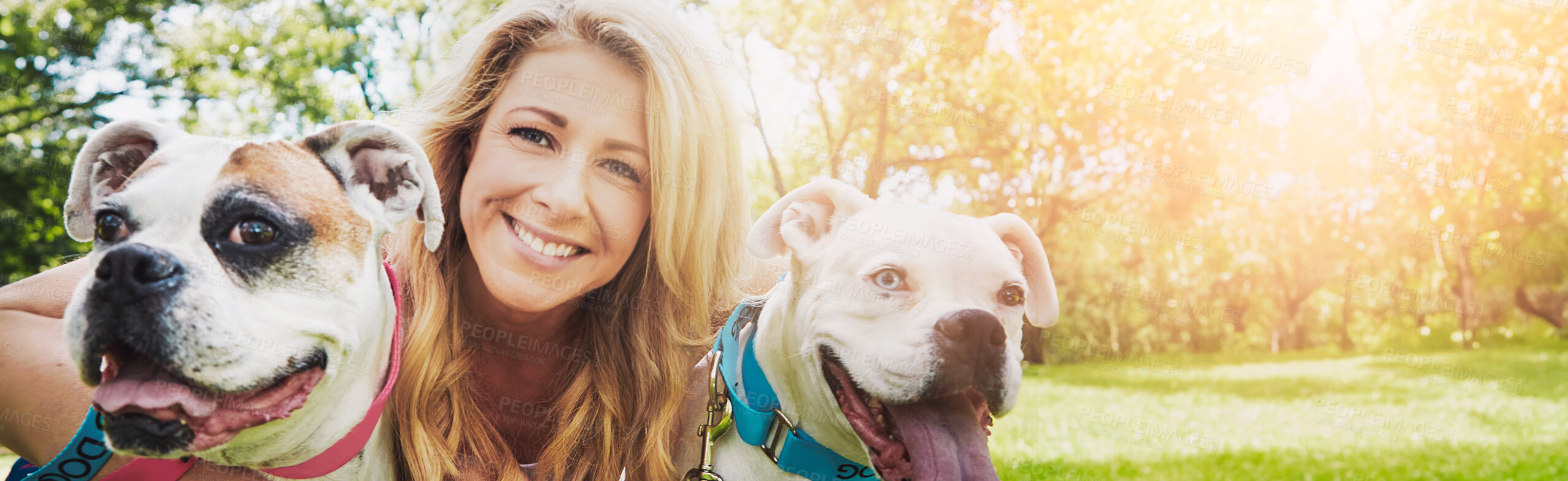 Buy stock photo Smile, playing and portrait of woman with dogs in nature for bonding, connection or adoption together. Banner, love and female person with cute puppies, animals or pets for fun outdoor in park.
