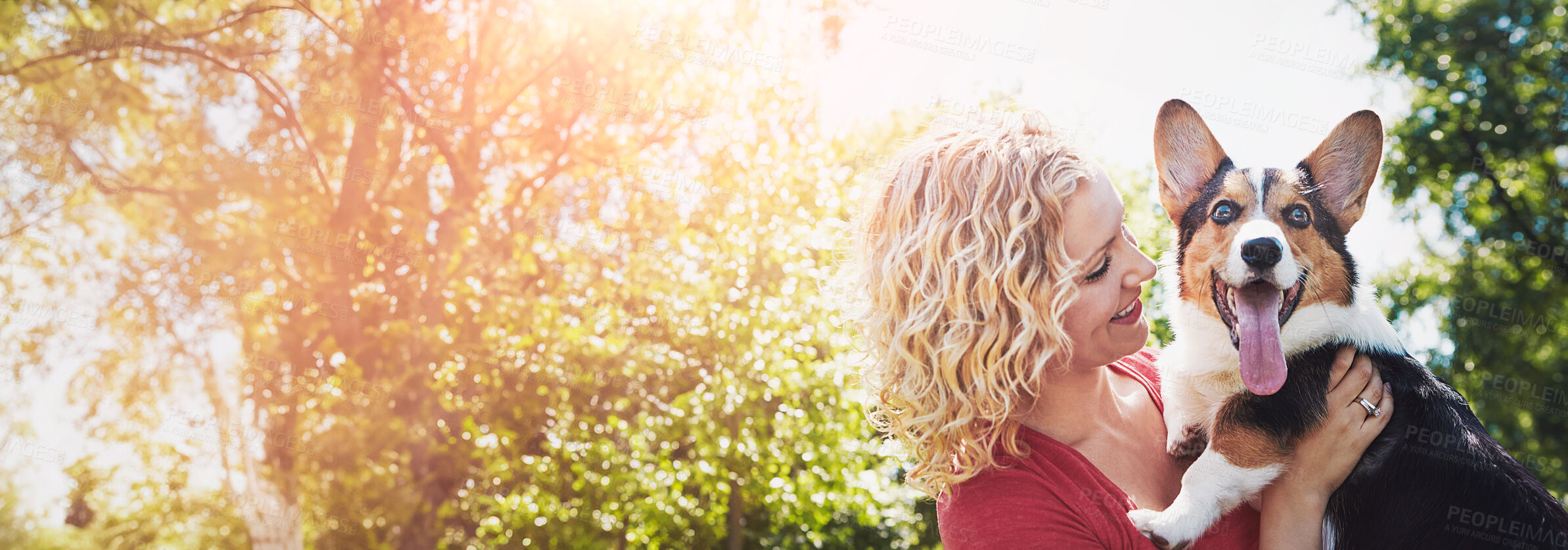 Buy stock photo Love, playing and woman with dog in nature for bonding, connection or adoption together. Lens flare, banner and female person with corgi puppy, animal or pet for fun and companionship outdoor in park