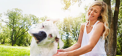 Buy stock photo Woman, dog and wet in garden with splash for coat health, bath and outdoor pet hygiene in summer. Washing, cleaning and boxer in backyard for smile, bonding and owner of animal with shake on lawn