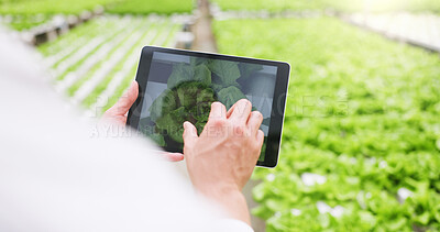 Buy stock photo Farmer, hands or tablet in greenhouse with plant for inspection, monitor growth or agro research. Man, farming or tech screen in crop nursery for quality control, pest detection or check development.