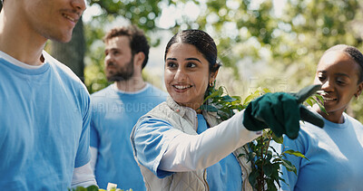 Buy stock photo Park, volunteer or people with plant for nature restoration project, eco advocate or gardening initiative. Pointing, sustainable environment or team with tree for climate action, outdoor or nonprofit