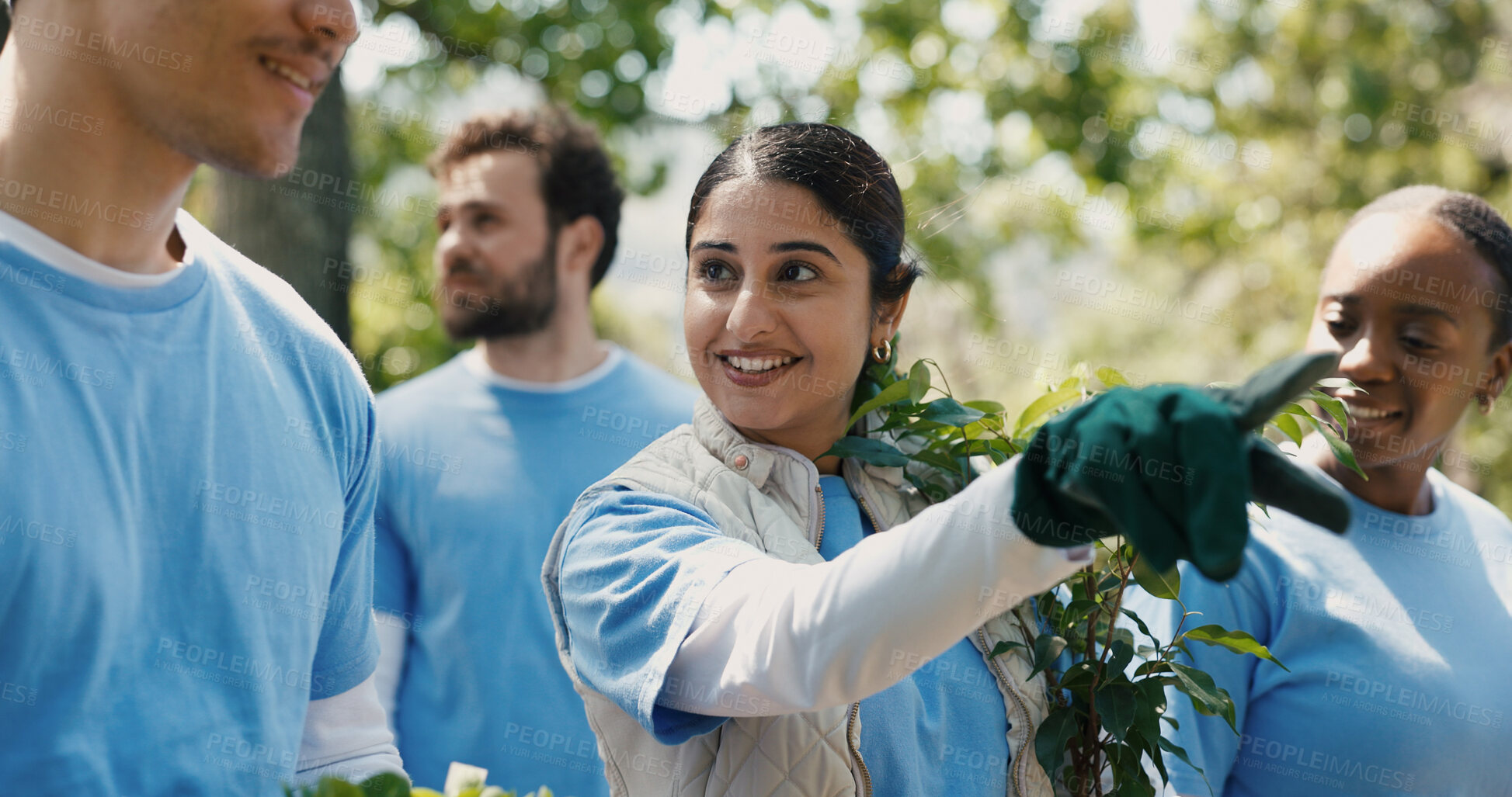 Buy stock photo Park, volunteer or people with plant for nature restoration project, eco advocate or gardening initiative. Pointing, sustainable environment or team with tree for climate action, outdoor or nonprofit