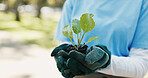 Fertilizer, plant and hands of volunteer in nature for sustainability community service. Non profit, outdoor and ngo worker with soil for leaf growth with charity event at park for earth day.