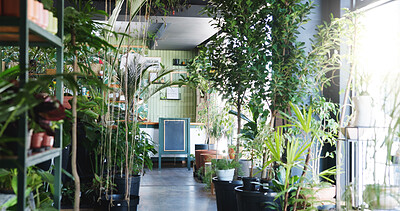 Buy stock photo Plant, nursery and shelf with empty room in store for environment, gardening product and growth. Sustainability, eco friendly startup and small business with interior for agro decoration and pot