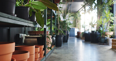 Buy stock photo Plant, environment and shelf with empty room in store for nursery, gardening product and growth. Sustainability, eco friendly startup and small business with interior for agro decoration and pot