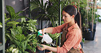 Spray, leaf and growth with woman in nursery for quality control, botany specialist and entrepreneur. Small business, garden inventory and plant fertilizer with person for eco friendly store