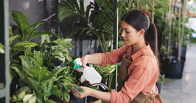 Buy stock photo Spray, leaf and growth with woman in nursery for quality control, botany specialist and entrepreneur. Small business, garden inventory and plant fertilizer with person for eco friendly store