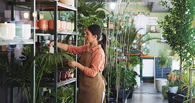 Buy stock photo Spray, plant and growth with woman in nursery for quality control, botany specialist and entrepreneur. Small business, garden inventory and leaf fertilizer with person for eco friendly store