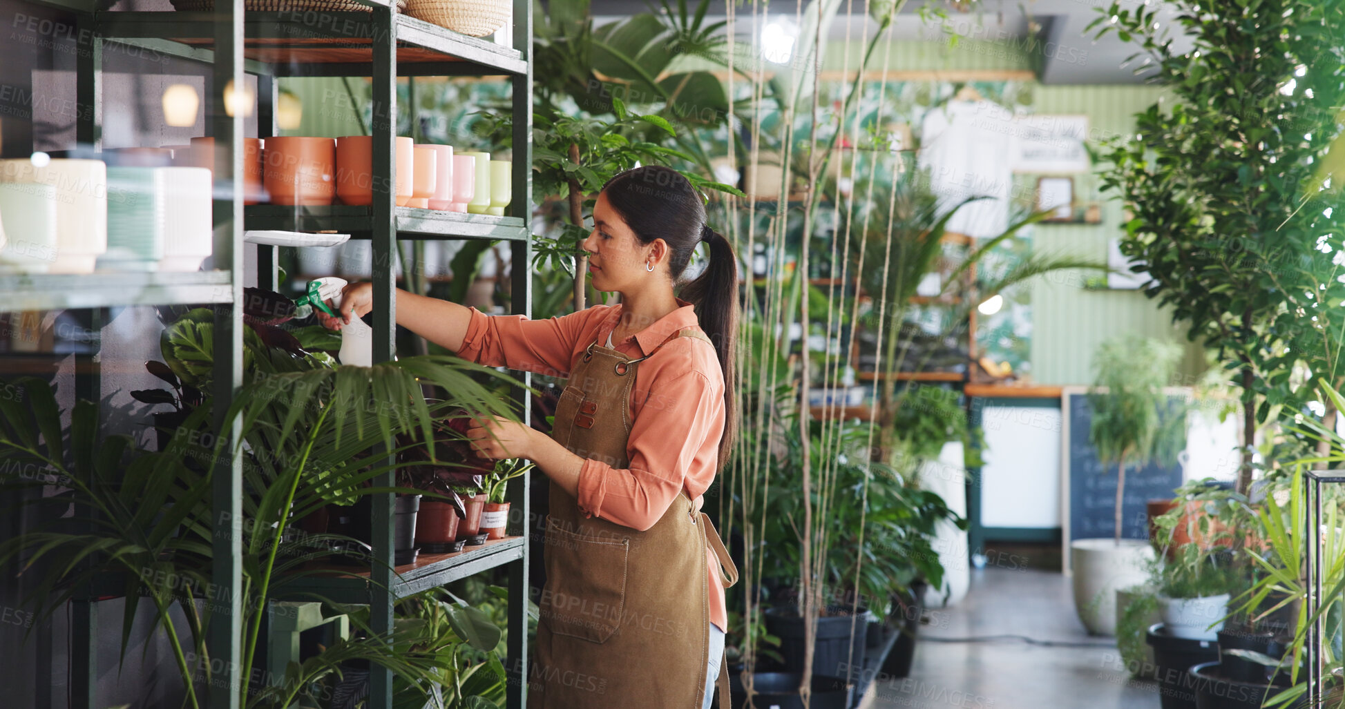Buy stock photo Spray, plant and growth with woman in nursery for quality control, botany specialist and entrepreneur. Small business, garden inventory and leaf fertilizer with person for eco friendly store