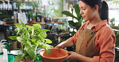 Buy stock photo Plant, pot and growth with woman in nursery for quality control, botany specialist and entrepreneur. Small business, garden startup and leaf with person in store for eco friendly supplier and check