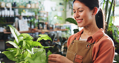 Buy stock photo Leaf, inspection and smile with woman in nursery for quality control, botany specialist and entrepreneur. Small business, plant maintenance and nature with person in store for eco friendly supplier
