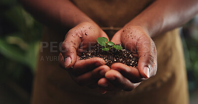 Buy stock photo Soil, leaf and growth with hands in store for ph level inspection, environment and gardening check. Sustainability, organic fertilizer and compost with person and plant for quality assurance