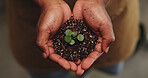 Soil, leaf and above with hands in store for ph level inspection, environment and gardening check. Sustainability, organic fertilizer and compost with person and plant growth for quality assurance