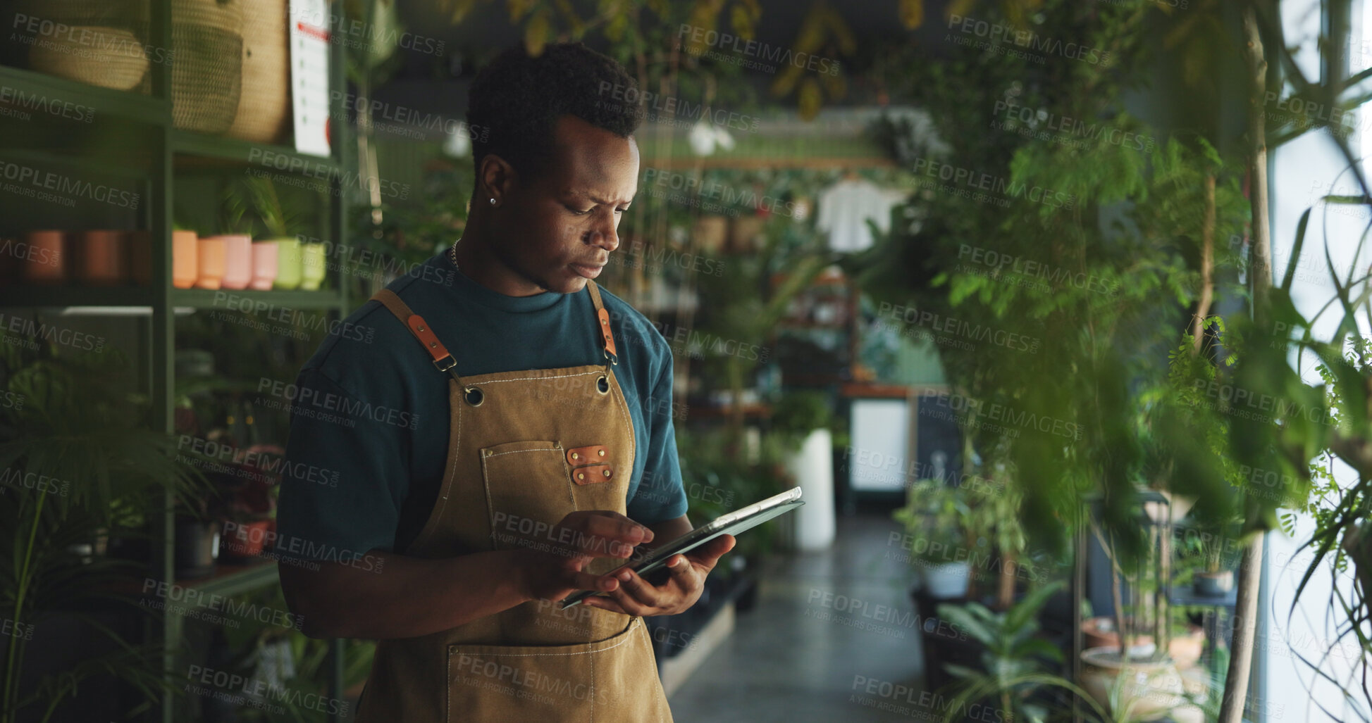 Buy stock photo Black man, tablet and reading in nursery with checklist, inventory management or supplier order. Botanist, sustainable business and tech in store for plant storage, website update or quality control