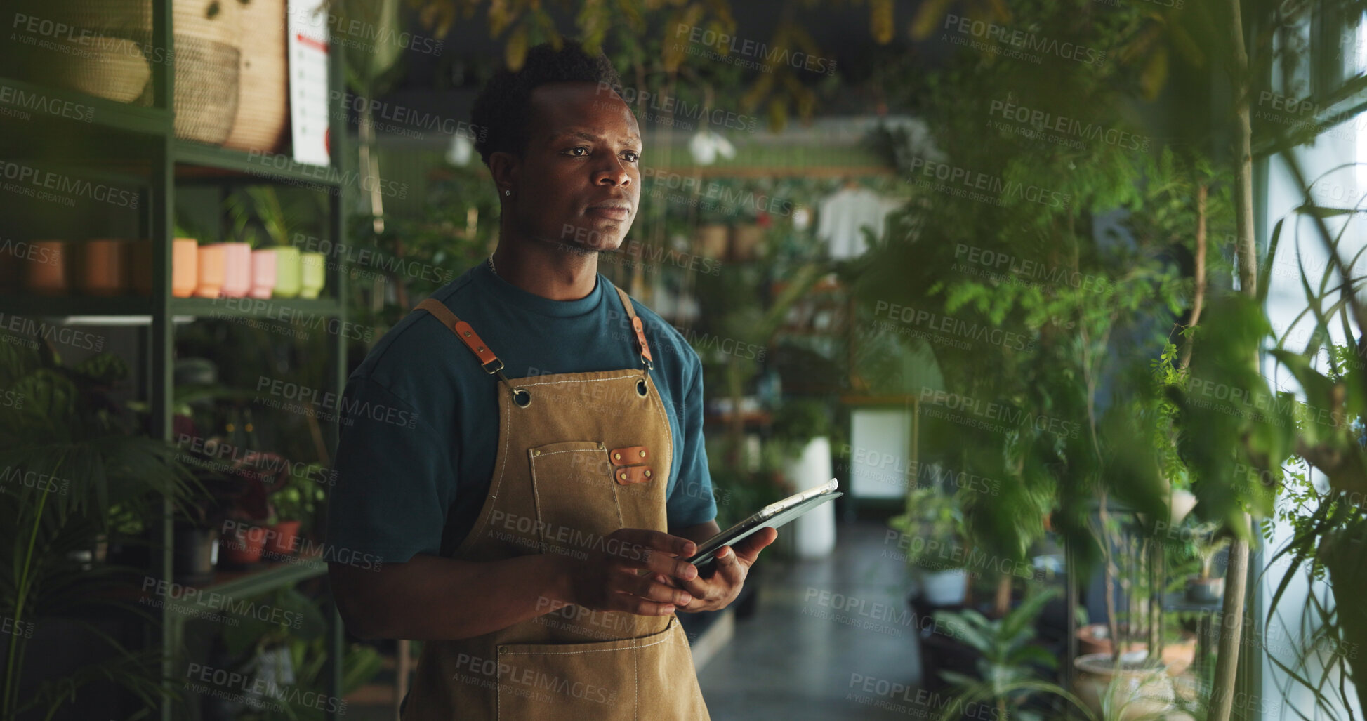 Buy stock photo Black man, tablet or thinking in nursery with checklist, inventory management or supplier order. Botanist, sustainable business or tech in store for plant storage, website planning or quality control