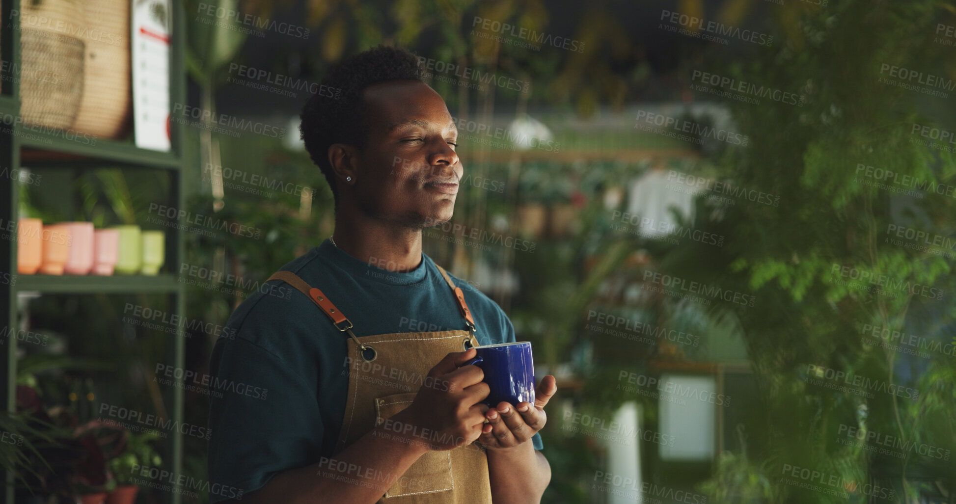 Buy stock photo Relax, coffee and nursery with black man in store for calm, environment and sustainability. Entrepreneur, caffeine beverage and peace with person and breathing in shop for drinking herbal tea