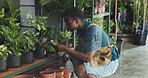 Leaf,  plant and growth with black man in nursery for quality control, botany specialist and entrepreneur. Small business, garden inventory and soil fertilizer with person for eco friendly store