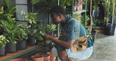 Buy stock photo Leaf,  plant and growth with black man in nursery for quality control, botany specialist and entrepreneur. Small business, garden inventory and soil fertilizer with person for eco friendly store