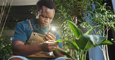 Buy stock photo Phone, plant and picture with black man in nursery for quality control, botany specialist and entrepreneur. Small business, disease detection and leaf app with person and tech for eco friendly store