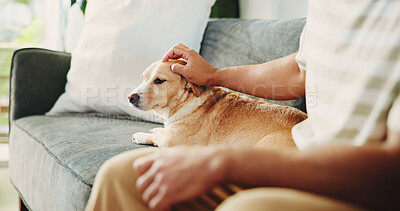 Buy stock photo Home, hands and man on couch, dog and touching with animal care, bonding together and relax. Apartment, pet owner or person on sofa, puppy or comfortable with love, stroke fur or companion in lounge