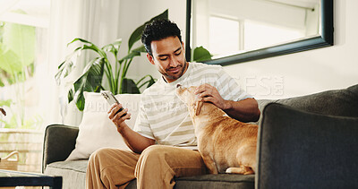 Buy stock photo House, smartphone and man on couch, dog and relax with subscription for animal insurance. Apartment, pet owner and person on sofa, cellphone and care with social media, comfortable and companion