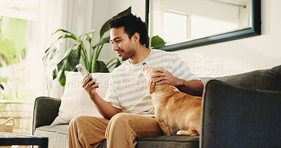 Buy stock photo Home, cellphone and man on couch, dog and relax with subscription for animal insurance. Online reading, pet owner and person on sofa, smartphone and care with social media, comfortable and companion