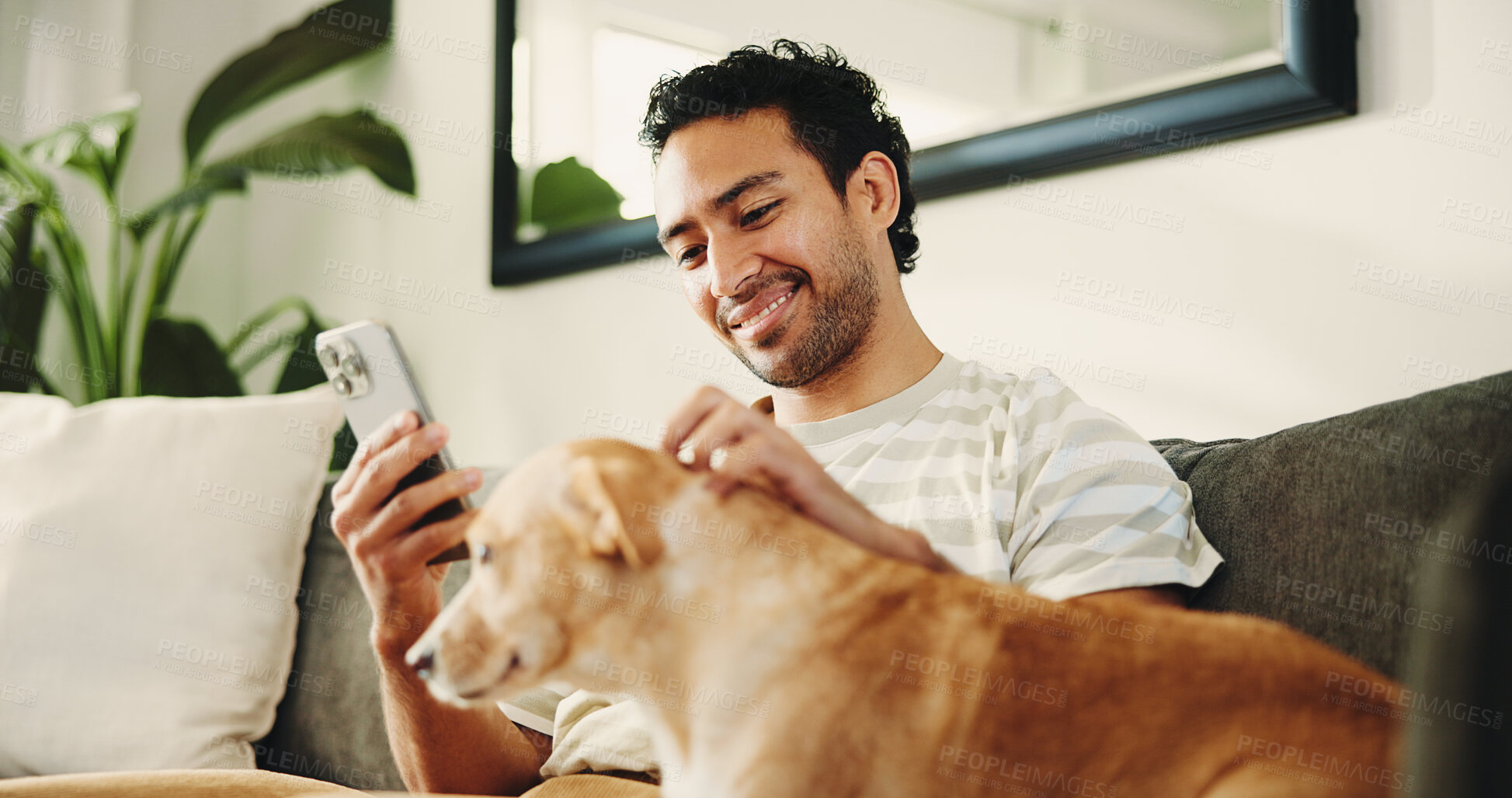 Buy stock photo Man, dog and phone on couch, texting and relax with stroke, care and check notification for chat at home. Person, smartphone and pet animal on sofa with low angle, mobile app or social media in house