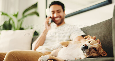 Buy stock photo Dog, hands and stroke for care on couch, relax and man with phone call, happy or contact in home. Pet animal, loyalty and touch for comfort in lounge, smartphone and low angle on sofa at apartment