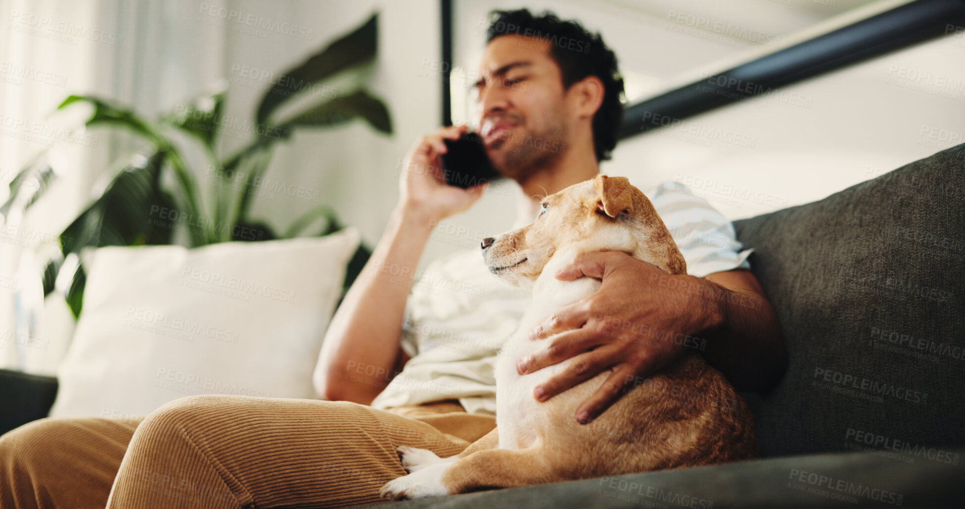 Buy stock photo Home, phone call and man on couch, dog and relax with communication in living room. Apartment, pet owner and person on sofa, smartphone and talking to contact, animal care or digital app for chatting
