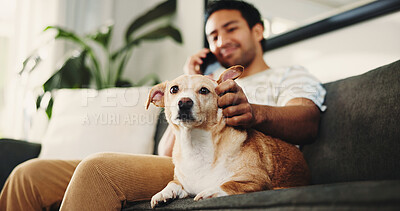 Buy stock photo House, phone call and man on sofa, dog and animal care with communication in living room. Apartment, pet owner or happy person on couch, smartphone or talking to contact, touching or app for chatting