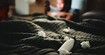 Tissue, lubricant and masturbation on bed in home, person and phone for adult content addiction. Tech, smartphone and night with bottle, personal pleasure and scroll with online temptation at house