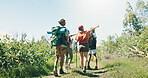 Hiking, pointing and back with friends in nature for travel destination, adventure and peace. Trail, vacation and explore with people sightseeing outdoor for trekking, wilderness and eco holiday