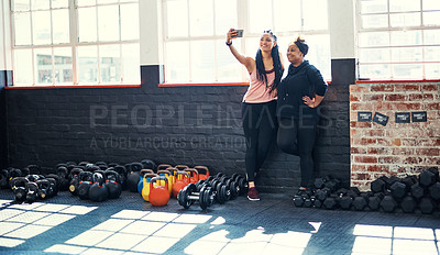 Buy stock photo Fitness, friends and women in gym, selfie or bonding on break, happy and online for social media app. Team, photography and people with smile for profile picture and relax after exercise routine