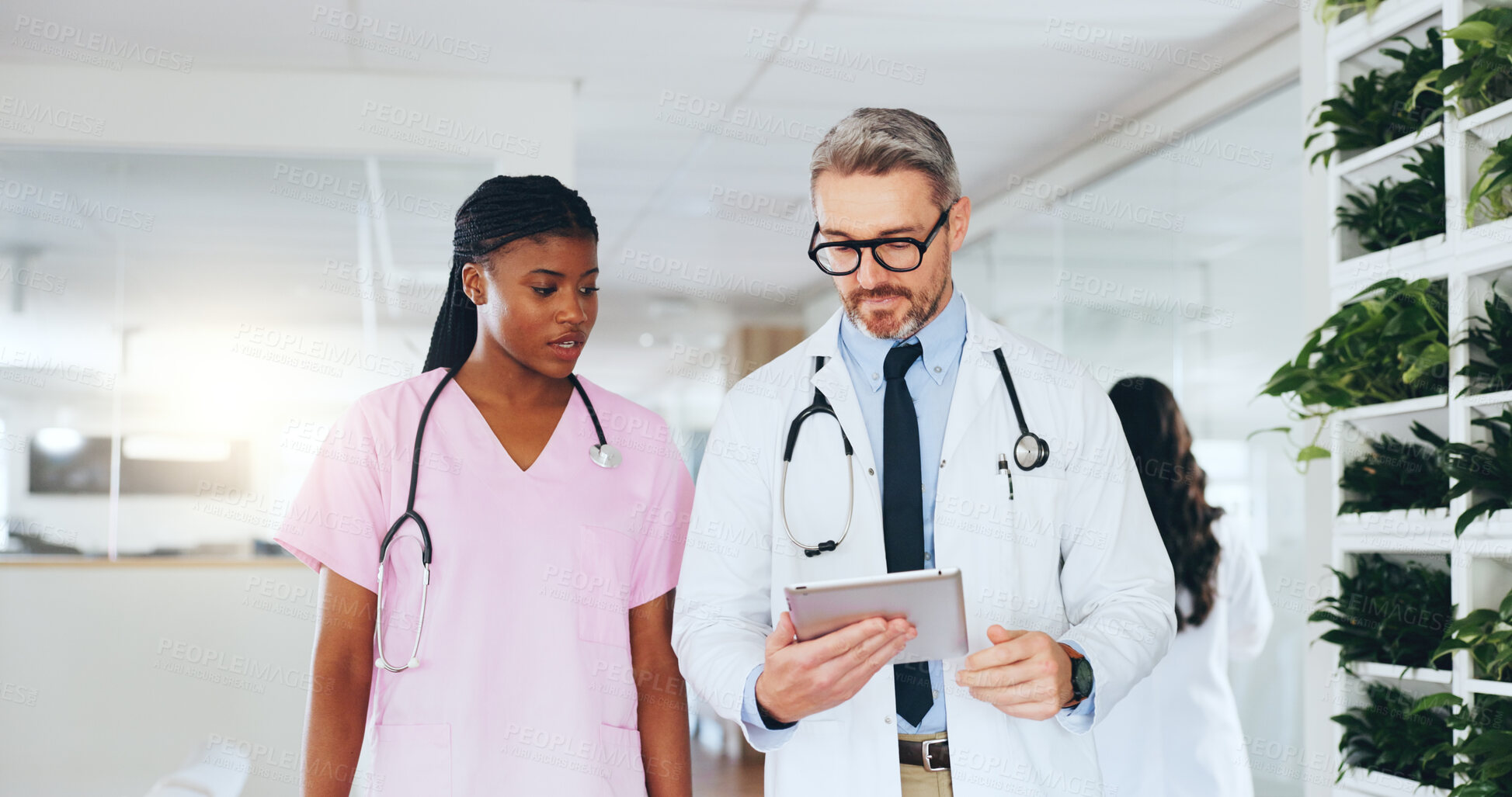 Buy stock photo Healthcare, doctors and team with tablet in clinic for cardiac diagnostics, ECG results or planning. People, pediatrician and cardiologist with tech in hospital to review vital signs and EHR records