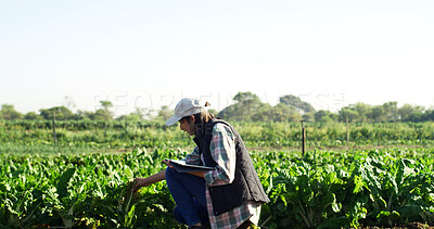 Buy stock photo Farmer, crops or inspection with tablet on field for vegetable health, quality control or reporting. Mockup space, woman and digital checklist on farm for organic production, plant growth and ecology