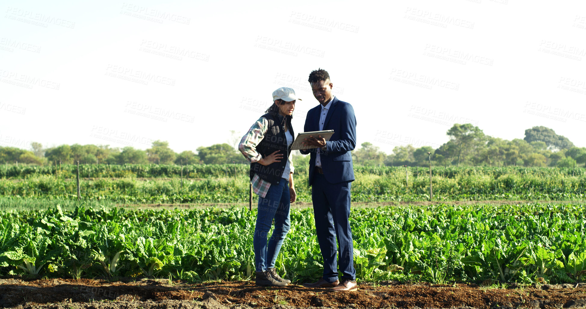 Buy stock photo Tablet, conversation and people at farm for sustainability teamwork, agreement or collaboration. Discussion, tech and businessman with woman, inspection and quality assurance for support or trust