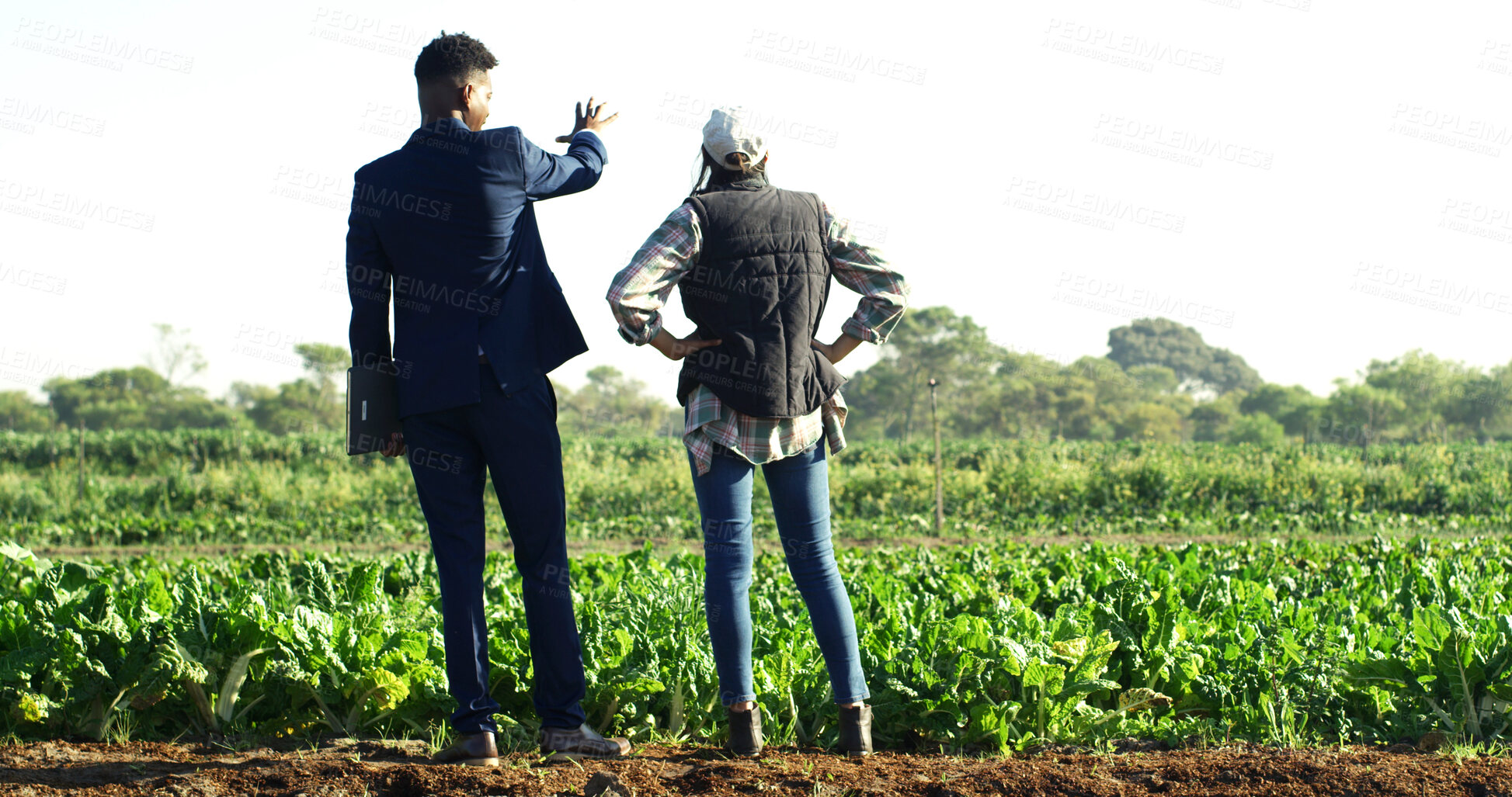 Buy stock photo Back, conversation and people at farm for sustainability teamwork, agreement or collaboration. Discussion, planning and businessman with woman, inspection and quality assurance for support or trust