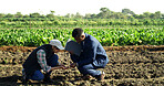 Tablet, soil quality and people at farm for sustainability teamwork, research or discussion. Conversation, tech and businessman with woman in field for plan, dirt inspection or environment ecology