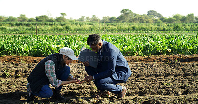 Buy stock photo Tablet, soil quality and people at farm for sustainability teamwork, research or discussion. Conversation, tech and businessman with woman in field for plan, dirt inspection or environment ecology