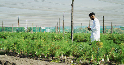 Buy stock photo Scientist, man and inspection with tablet on farm for field research, crops health and reporting. Agronomist, person or digital app outdoor for crop management, monitor plant growth or record results