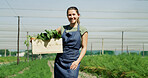Portrait, vegetables and woman with box in greenhouse for harvesting, sustainability or agro business. Seller, basket and female farmer with produce for agriculture, food or crops in conservatory.