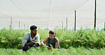 People, scientist and tablet with plant in greenhouse for research, inspection and botanical study. Team, digital and magnifying glass for sample analysis, observing growth and agriculture experiment